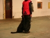 IMG_2457.JPG